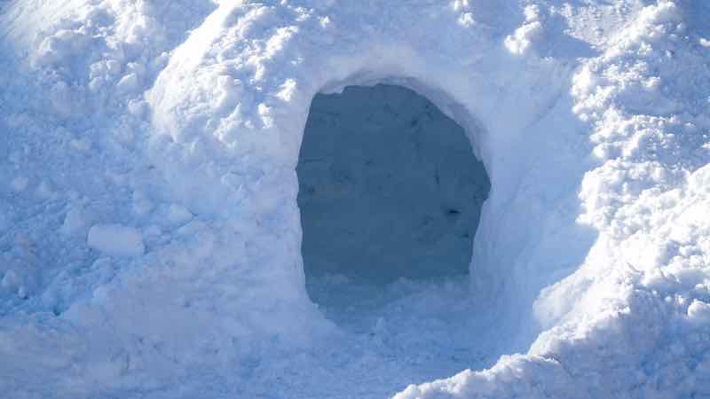 Igloo,In,Front,Of,A,House,On,A,Sunny,Winter