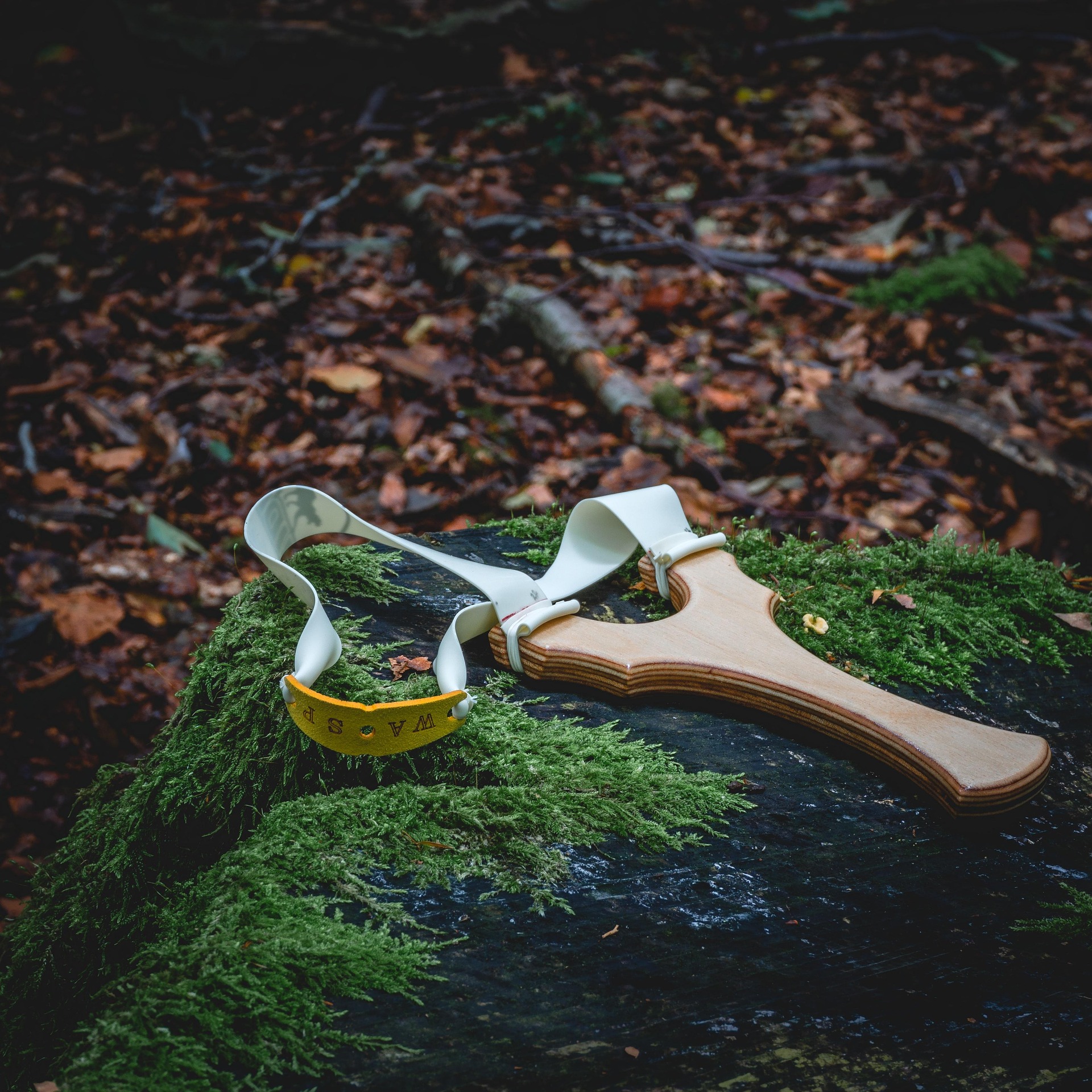 slingshot-4600307_1920