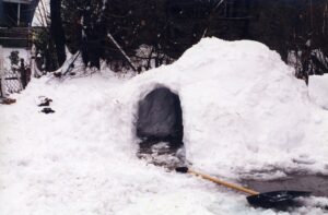 Building a Long-Term Survival Shelter: A Comprehensive Guide