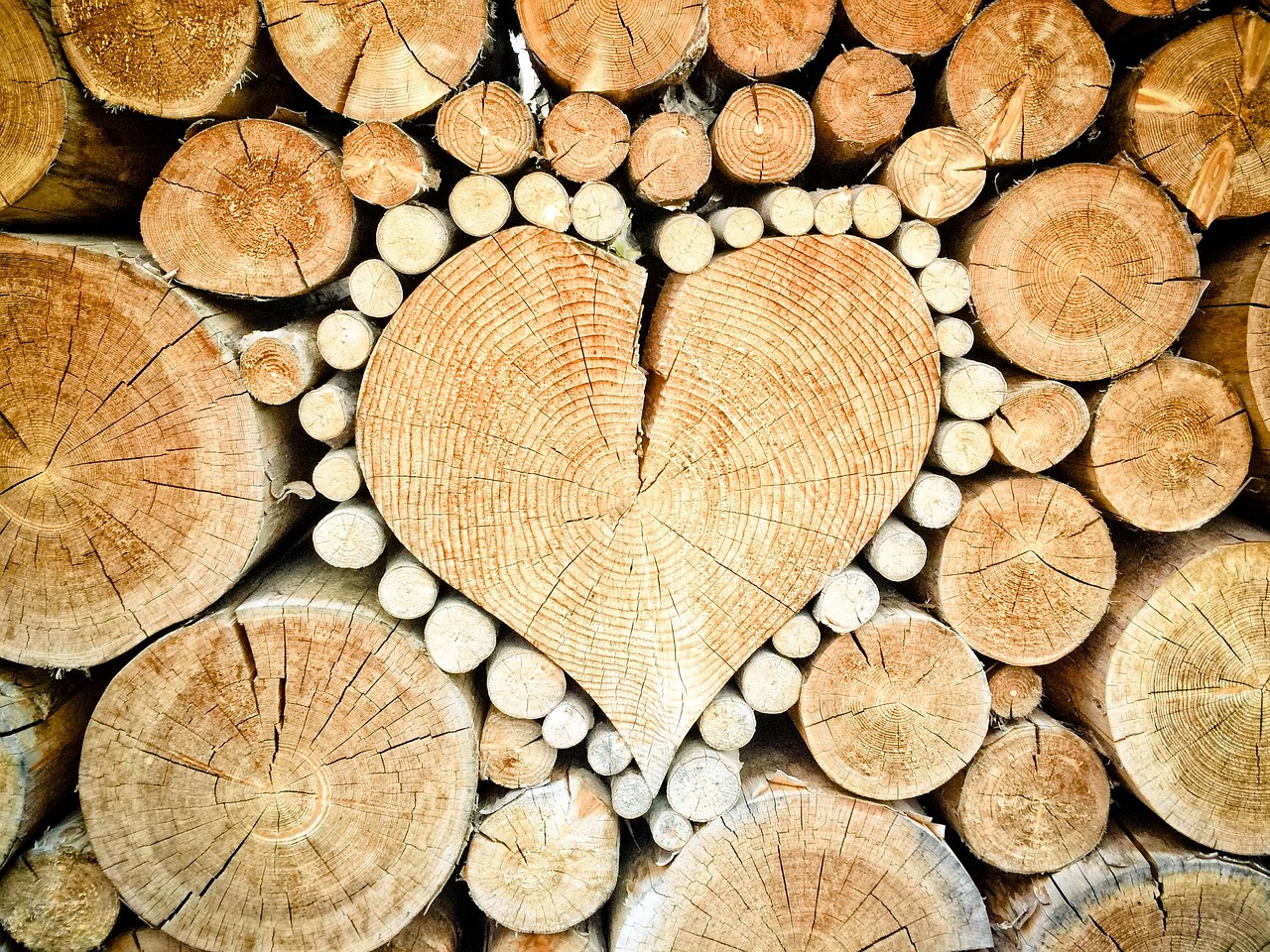 Sustainable Forestry Practices for Timber and Firewood Production