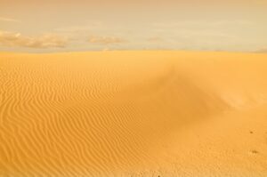 Desert and Heat Survival: Staying Alive When the Sun Is the Threat