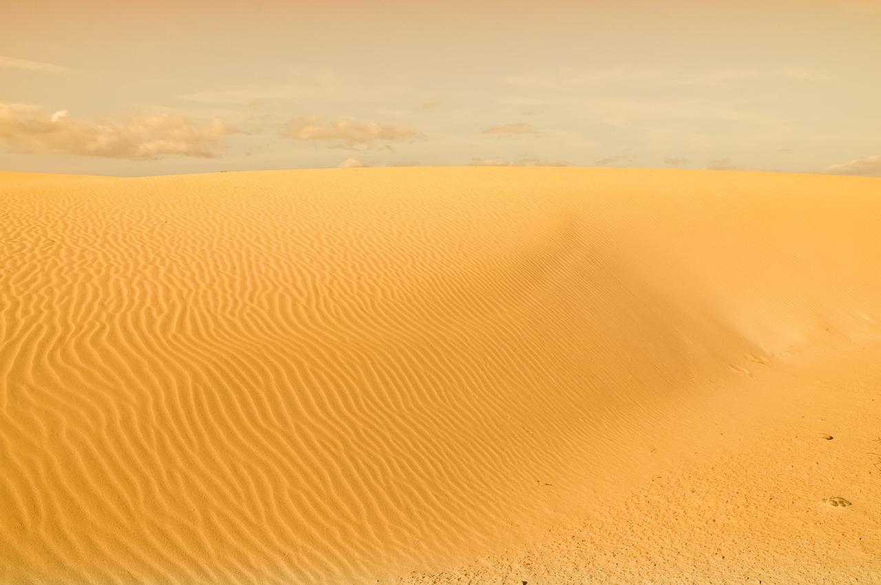 Desert and Heat Survival: Staying Alive When the Sun Is the Threat