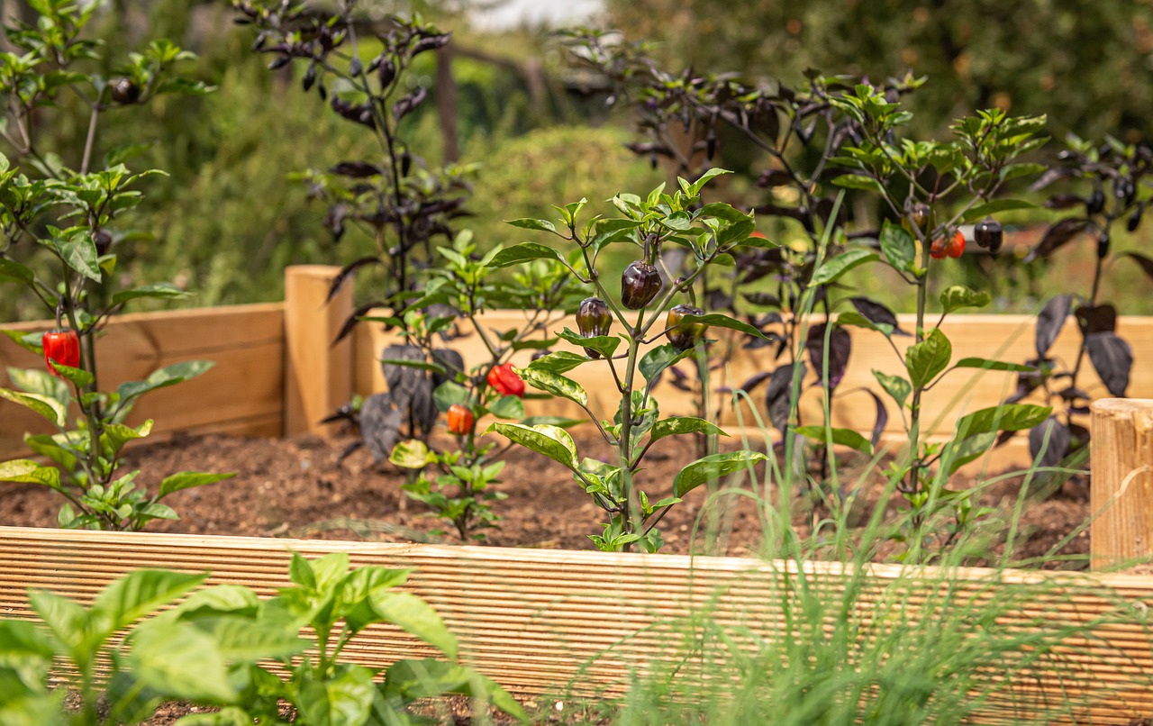 Raised Beds and Greenhouses: Growing More, Longer
