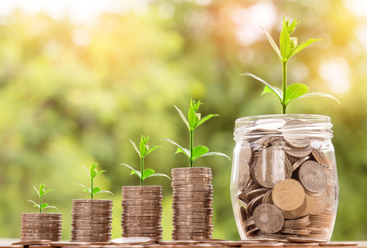 Using High-Yield Savings Accounts and CDs for Maximum Growth