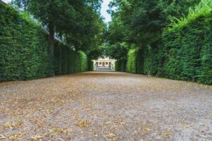 garden-5454650_1280