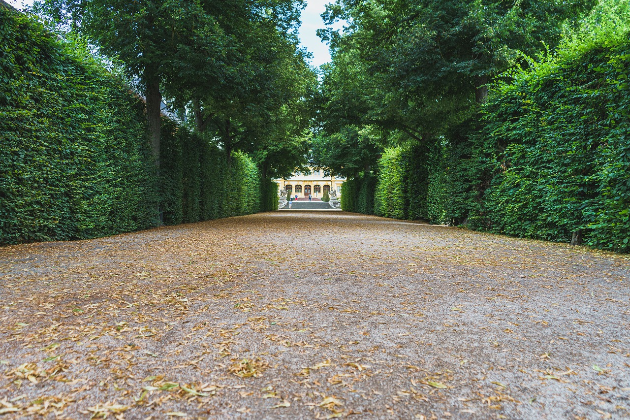 garden-5454650_1280
