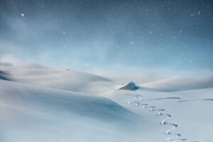 Off-Grid Living: Tips for Living Independent of the Grid