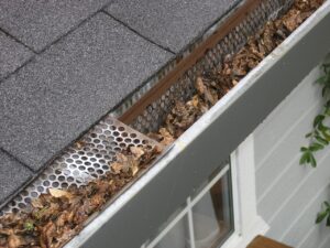 Rainwater Harvesting: Building Your Own System