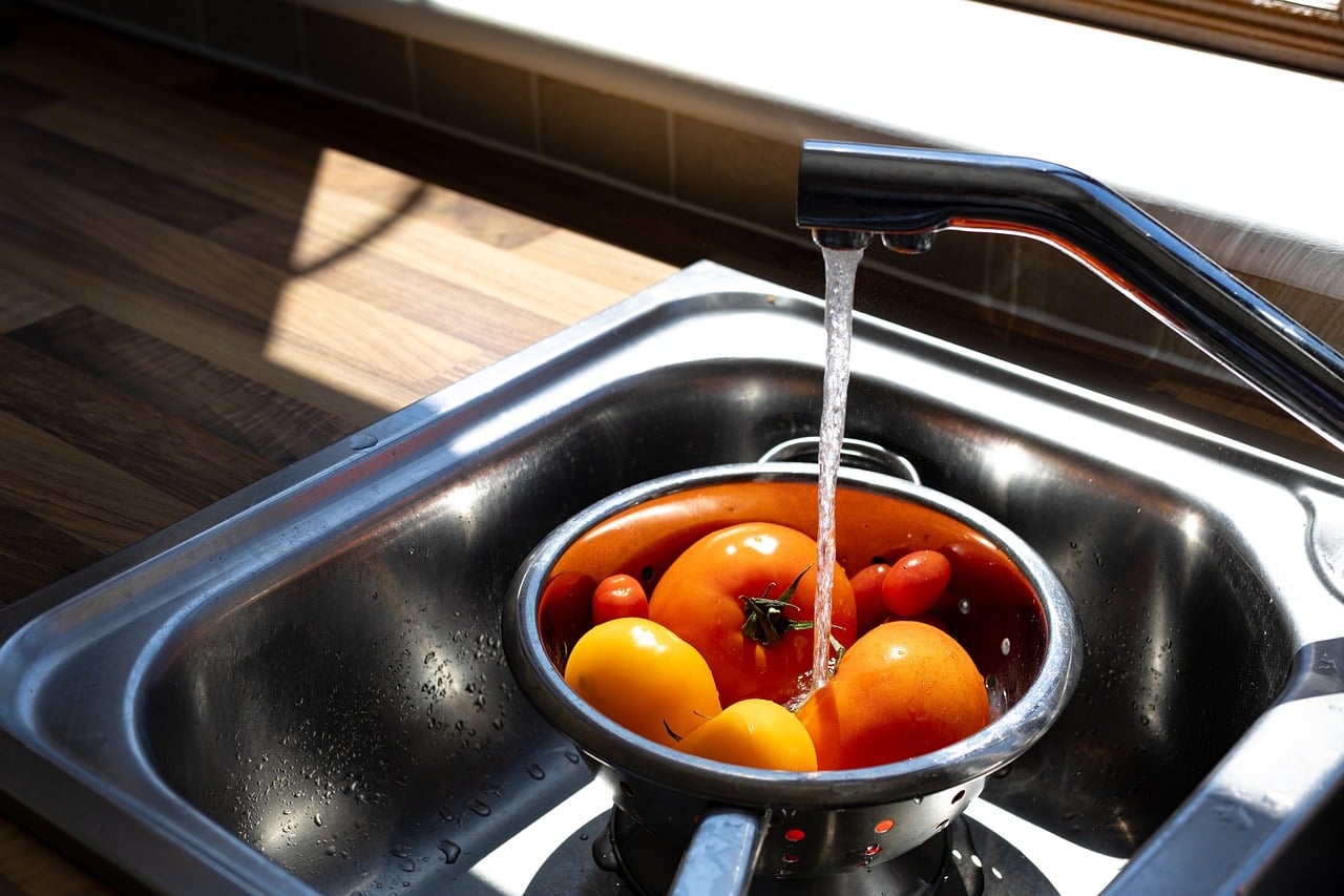 Norovirus, Cyclospora, and Foodborne Illness: A Preparedness Guide to Outbreak Season