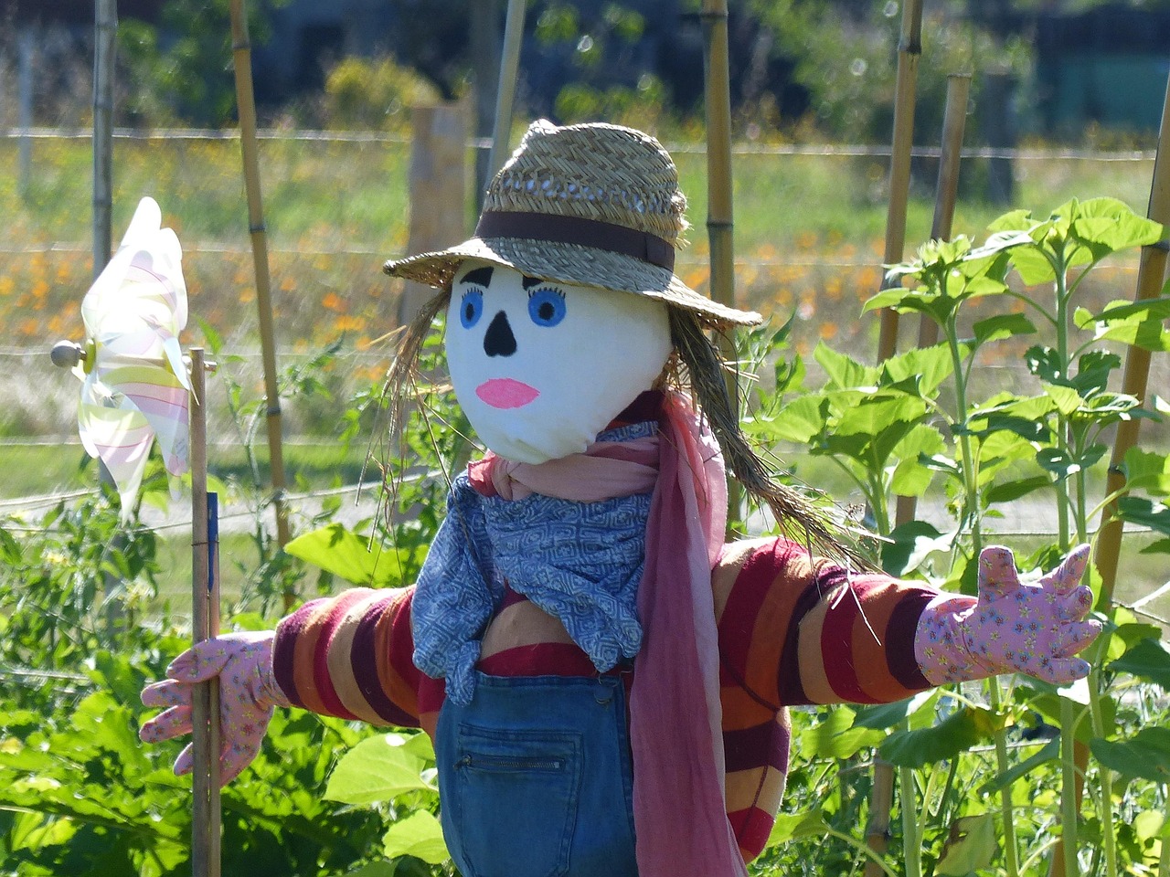 Permaculture Zones and Sectors: A Layout Method for Your Homestead