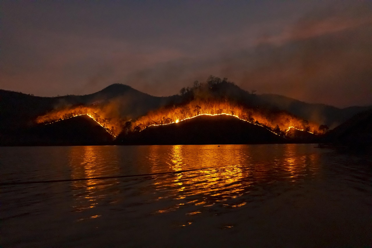 Wildfire Preparedness: Defensible Space and a Go-Bag by the Door